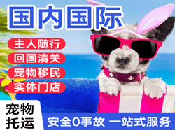 南通兴东航空快递国际宠物托运 【国
